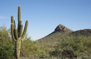 Νερό στην έρημο; Νέο υλικό του ΜΙΤ κάνει το θαύμα