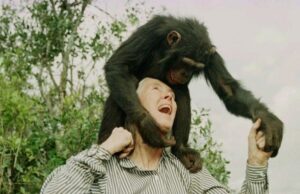 Ποιοι είναι οι υπερλογικοί που βρίσκονται ανάμεσά μας