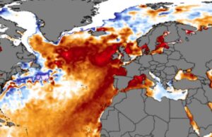 Κλιματική αλλαγή: Πρωτοφανής «θαλάσσιος καύσωνας» πλήττει τον Βόρειο Ατλαντικό