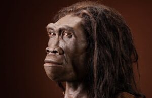 Ήταν οι προϊστορικοί συγγενείς μας κανίβαλοι;