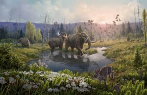 Αρκτική: To αρχαιότερο DNA που έχει βρεθεί ποτέ αποκαλύπτει έναν «χαμένο κόσμο»