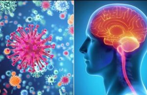 Ύποπτος μύκητας προκαλεί μηνιγγίτιδα στις ΗΠΑ και το Μεξικό