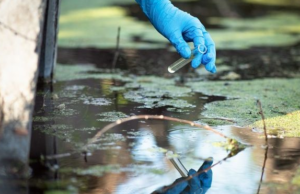 5,5 δισ. άνθρωποι θα επηρεαστούν από τη ρύπανση των υδάτων ως το 2100
