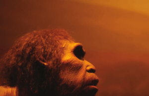 Έλληνες επιστήμονες: Το υπερβολικό κρύο σκότωσε τους πρώτους ανθρώπους στην Ευρώπη