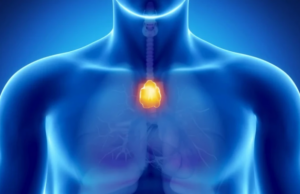 «Άχρηστο» όργανο που συχνά αφαιρούμε, μπορεί να μας προστατεύει από τον καρκίνο