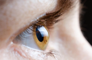 Θεραπεία με βλαστοκύτταρα επαναφέρει την όραση σε τραυματίες