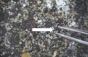 Μεταλλικά σφαιρίδια που βρέθηκαν στο βυθό του Ειρηνικού έχουν διαστρική προέλευση