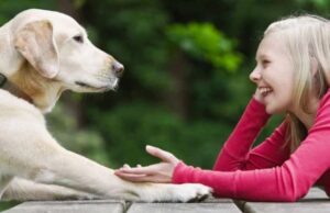 Μέχρι πού μπορεί να φτάσει η AI; Υπάρχει περίπτωση να μας βοηθήσει να μιλήσουμε με τα ζώα;