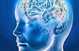 Τις πιθανές ρίζες της διαταραχής του φάσματος του αυτισμού στον εγκέφαλο ανακάλυψαν επιστήμονες