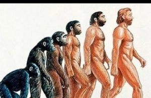 Νέα ευρήματα ενισχύουν τη θεωρία της εμφάνισης του ανθρώπου στην Ευρασία και όχι την Αφρική