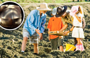 Κορίτσι 7 ετών ανακάλυψε κάτι πολύ σπάνιο