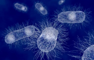 Ερευνητές κατάφεραν να παράγουν ηλεκτρική ενέργεια από επικίνδυνα για τον άνθρωπο βακτήρια