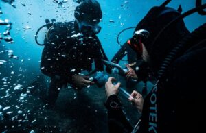 Ένας απρόσμενος σύμμαχος της ανθρωπότητας στη μάχη κατά της κλιματικής αλλαγής