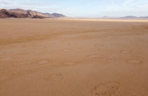 «Κύκλοι των νεράιδων»: Οι μυστηριώδεις δακτύλιοι πολλαπλασιάζονται