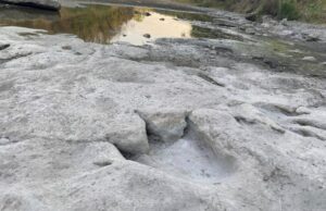 Τέξας: H ξηρασία αποκάλυψε ίχνη δεινοσαύρων 110 εκατομμυρίων ετών