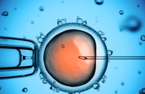 Επιστήμονες ανέπτυξαν «μοντέλο» ανθρώπινου εμβρύου χωρίς σπέρμα ή ωάριο