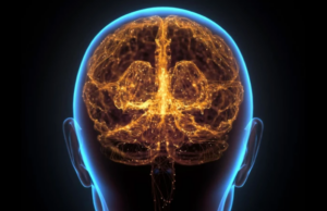 Τεχνητός εγκέφαλος θα αποκαλύψει την προέλευση του αυτισμού