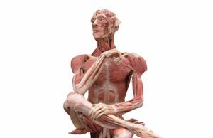 Mέρος του οργανισμού μας παραμένει ζωντανό καιρό αφότου πεθάνουμε