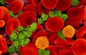 Πόσα κύτταρα υπάρχουν στο ανθρώπινο σώμα;