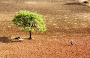Κλιματική αλλαγή: Κι όμως έχουμε τρόπο να δροσίσουμε τον πλανήτη