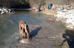 Η ισχυρότερη ηλιακή καταιγίδα όλων των εποχών άφησε τα ίχνη της στα δέντρα
