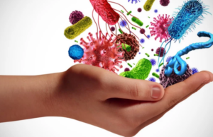 Πόσο ζυγίζει το ανοσοποιητικό σύστημα του ανθρώπου;