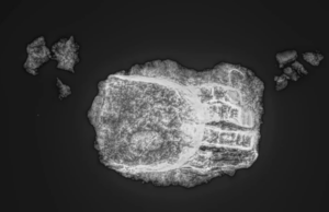 Τι συμβαίνει με το μεταλλικό τεχνητό χέρι 600 ετών που βρέθηκε στη Γερμανία;