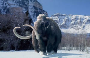 Στην τελική ευθεία για την ανάσταση των μαμούθ