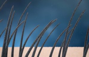 Επιστήμονες ανακάλυψαν νέα αίσθηση αφής, στις ανθρώπινες τρίχες