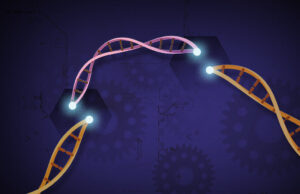 Μεσογειακή αναιμία: Εγκρίθηκε στη Βρετανία η πρώτη γονιδιακή θεραπεία