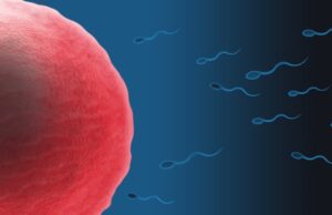 Με συγγενείς ανωμαλίες το 4,5% -7,5% των παιδιών από μονή ή πολύδυμη κύηση