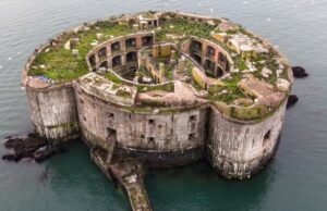 Όταν οι άνθρωποι φεύγουν, η άγρια ζωή επιστρέφει: 10 εγκαταλελειμμένα μέρη που ανέκτησε η φύση