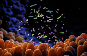 Η «εγκυκλοπαίδεια» του πλανητικού μικροβιώματος