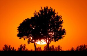 ΟΗΕ: «Κολασμένη» αύξηση της θερμοκρασίας κατά 3°C