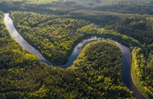 Αμαζόνιος: η αγωνιώδης μάχη για τη διάσωση του «πνεύμονα της Γης»