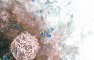 Πώς μετράει ο χρόνος στους όγκους;