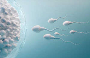 Το σπέρμα παραβιάζει έναν από τους βασικούς νόμους της φυσικής