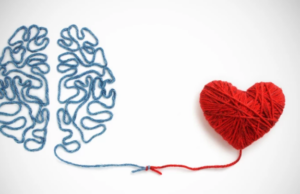 Υπάρχει μία μοναδική σύνδεση καρδιάς και εγκεφάλου