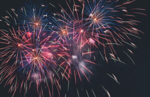 Παραμονή πρωτοχρονιάς: Εφιάλτης για τα πτηνά τα εορταστικά πυροτεχνήματα