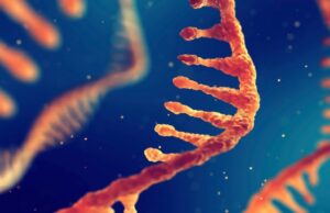 Εγκρίθηκε το πρώτο RNA εμβόλιο που… αντιγράφει τον εαυτό του