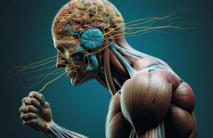 Κωδικοποίηση της ροής του χρόνου από το ανθρώπινο μυαλό με τα κύτταρα του χρόνου