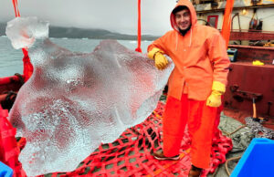 Παγετώνες της Αρκτικής κόβονται σε παγάκια για κοκτέιλ στο Ντουμπάι