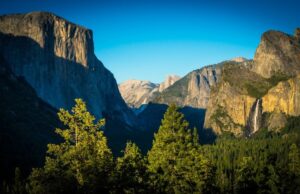 Νέα Υόρκη: Ανακαλύφθηκε το αρχαιότερο δάσος στον κόσμο – Το είχαν δει και οι δεινόσαυροι
