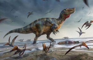 Πλανήτης Γη, πριν από 288 εκατ. χρόνια