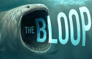 Ο εκκωφαντικός ήχος από τα βάθη του ωκεανού που αποτελούσε μυστήριο για δεκαετίες