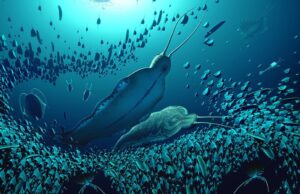 Ανακαλύφθηκαν τα απολιθώματα γιγάντιων σαρκοφάγων σκουληκιών