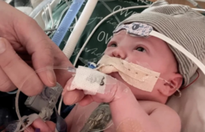 Η πρώτη μερική μεταμόσχευση καρδιάς πραγματοποιήθηκε σε βρέφος