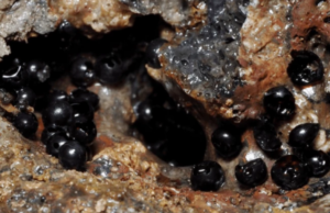 Μυστηριώδη μαύρα σφαιρίδια βρέθηκαν σε βάθος 6.200 μέτρων στην άβυσσο