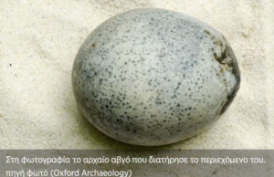 Ανακαλύφθηκε αβγό 1,700 ετών με άθικτο το ασπράδι και τον κρόκο του