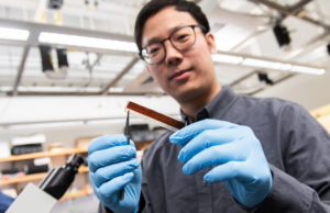 Λιγότερο επεμβατικός βηματοδότης λειτουργεί με οπτική ίνα